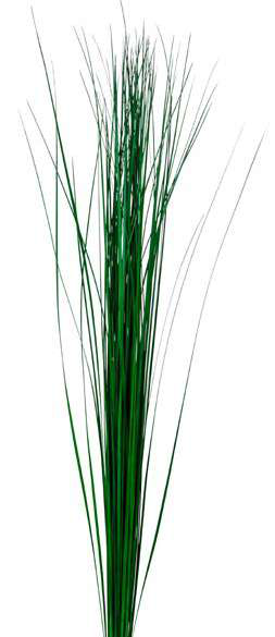 Steel Grass