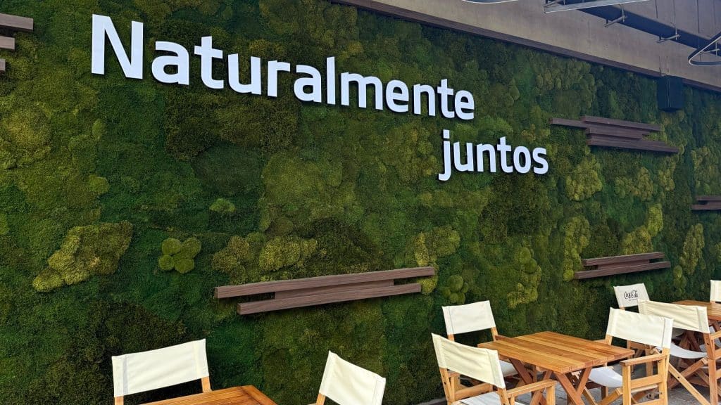 muro musgo preservado - indumotora