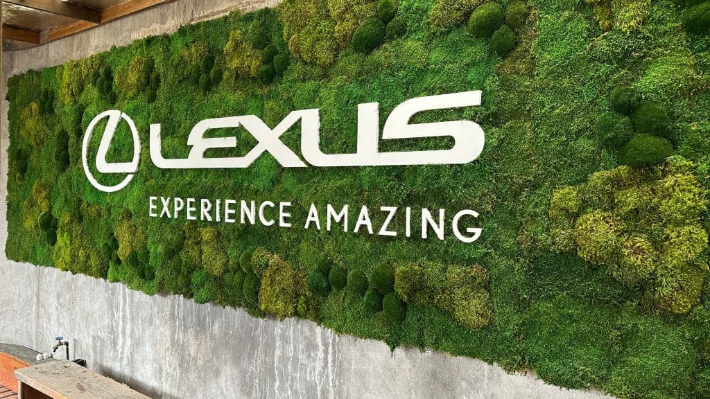 lexus muro musgo preservado