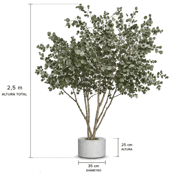 arbol populus verde preservado