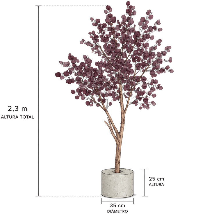 arbol populus rojo preservado