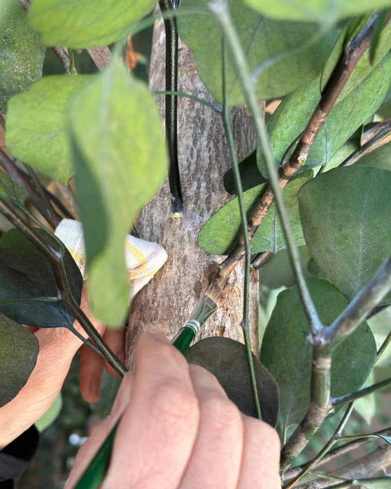 detalle fabricación arbol preservado