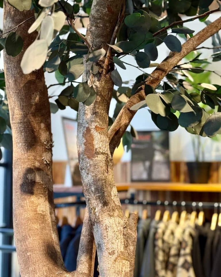 detalle arbol y hojas preservadas
